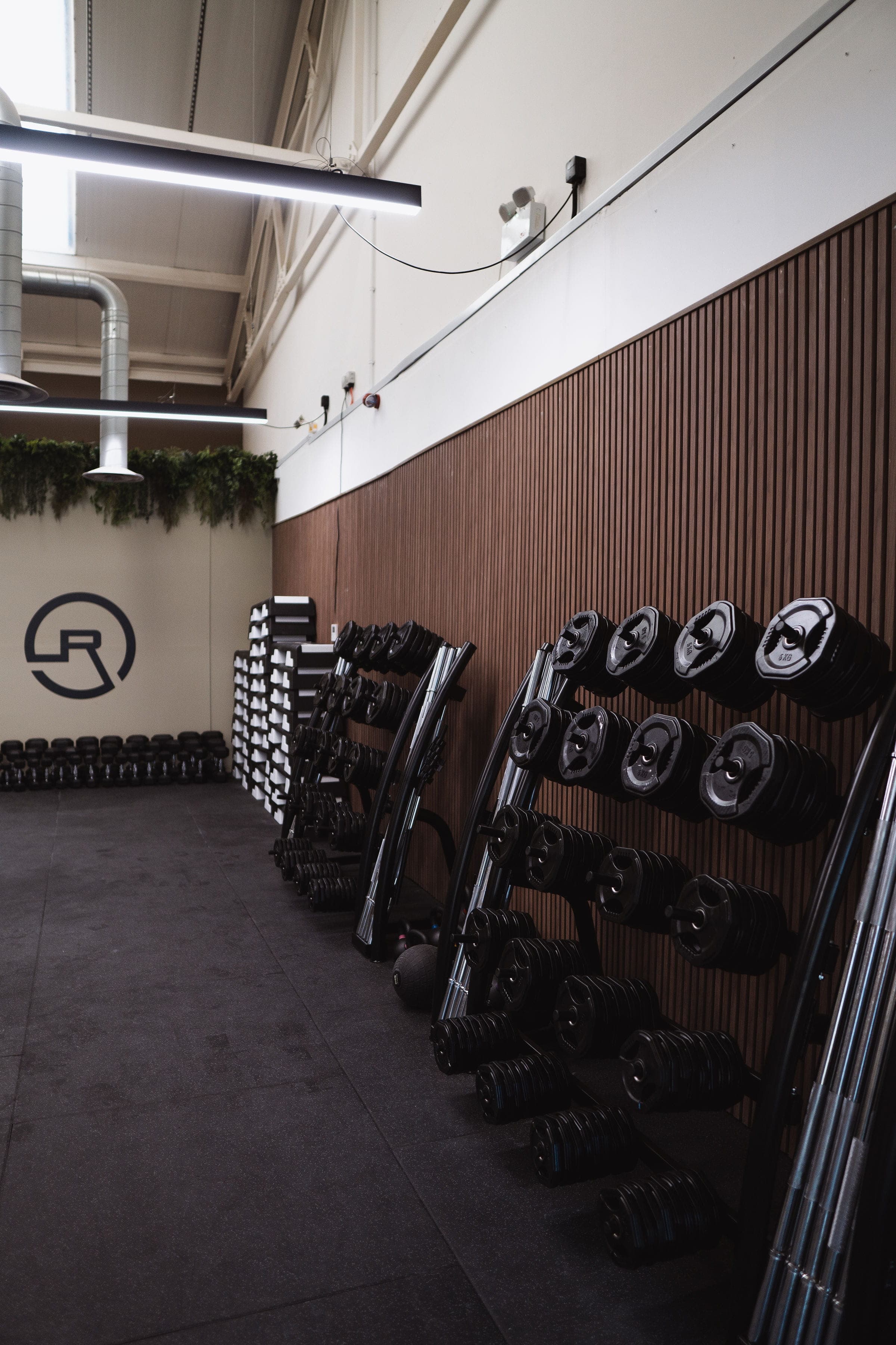 Rise Fitness studio and training
